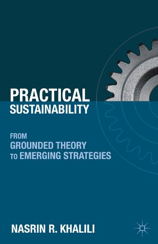 Practical Sustainability: From Grounded Theory to Emerging Strategies