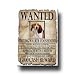 Treeing Walker Coonhound Wanted Fridge Magnet No 1