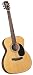 Bristol by Blueridge BM-16 000 Acoustic Guitar (Natural)