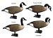 Higdon Decoys 70269 Original Full Body - Canada - 4 Pack