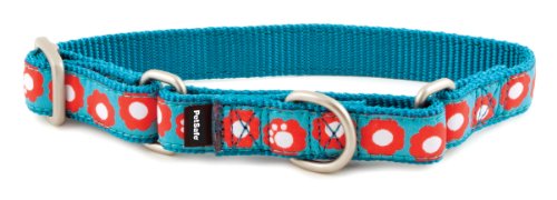 PetSafe Fido Finery Martingale-Style Dog Collar, 1/2-Inch, Petite, Teal My Heart