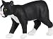   - MANX CAT by Safari, Ltd.