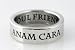 Stainless Steel Anam Cara Irish Celtic Ring