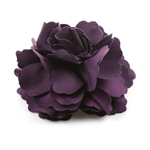 Dark Purple Peonies