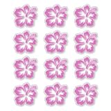 HIBISCUS FLOWERS - Clear Vinyl Stickers - Sheet of 12 - Sticker Decal - #C010