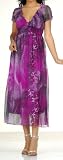 Chiffon Animal Print Shirred Empire Waist Long / Maxi Dress