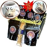 Farm Animals - Alpine Goat - Coffee Gift Baskets - Coffee Gift Basket