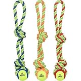 Petco Tennis Ball with Rope Tug Dog Toy