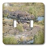 Angelique Cajams Safari Hippos - South African Hippopotami laying on the rocks - Light Switch Covers - double toggle switch
