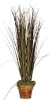 Fall Arrangement Onion Grass Size-24" H x 12" W