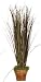 Fall Arrangement Onion Grass Size-24" H x 12" W