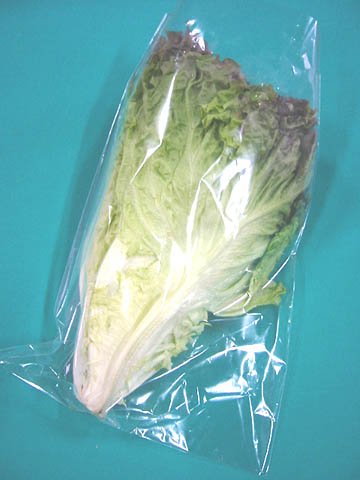 国産野菜 サニーレタス 1玉