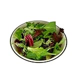 Chef's Container Garden-PLANTS--Braising Greens to Grow in Kitchen-Grow, Cut, and Grow Again; 12"-14" Containers