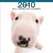 Bull Terrier 2010 Square Wall ARTLIST