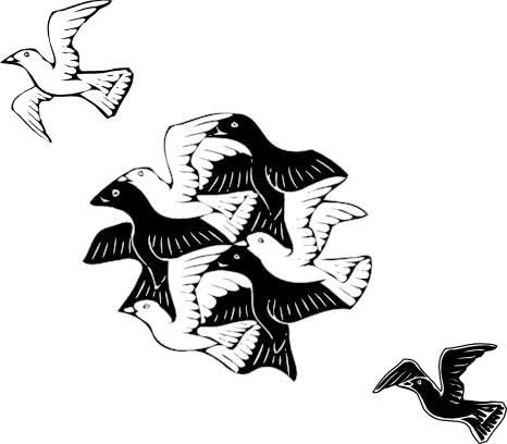 Wall Pattern BIRDS ILLUSION Decal Room GEOMETRIC STICKERS for Home DECOR and DESIGN