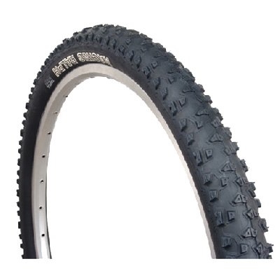 Schwalbe Racing Ralph Mountain Bicycle Tire - 29inch