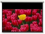 OPTOMA Leinwand motorisiert 304,8cm 120Zoll 16:9 Glasfaser 2656x1494cm Alugehaeuse