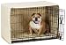 Pet Supplies : Pet Dreams 38123 Large Side Door Cratewear 3pc Set - Crate Cover, Mat, Bumper - Khaki