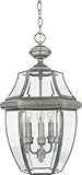 Quoizel NY1179P Newbury 3-Light Outdoor Hanging Lantern, Pewter by Quoizel [並行輸入品]