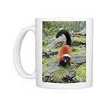 Red Ruffed Lemur - feeding on ground, distribution Photo Mugs