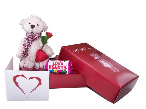 Send This Romantic Teddy Delivery to Deliver Your Special Message With a Heart and Handmade Rose. FREE Gift Card / Message Service. Ideal Birthday Gift Sorry Gift, Thank You Gift, I Love You Gift, Good Luck. Great Alternative to Flowers. P&P 2
