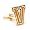 Vanderbilt Commodores
