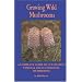 Growing Wild Mushrooms: A Complete Guide to Cultivating Edible and Hallucinogenic Mushrooms
