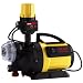 AL-KO  112460   HWA 1300 F Hauswasserautomat, 5000 L/h, inklusive XXL-Vorfilter