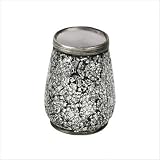 Myosotis Tooth Brush Holder in Silver
