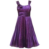 Rare Editions TWEEN GIRLS 7-16 PLUM-PURPLE GLITTERED SUNBURST PLEAT STRETCH SATIN Special Occasion Flower Girl Holiday Pageant Party Dress
