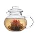 Primula PTA-3940 Tea Pot with Infuser