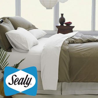 Sealy Bed Bundle in White by Pacific Coast Feather