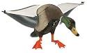 Expedite Lucky Duck Decoy Drake Md: 49007-5