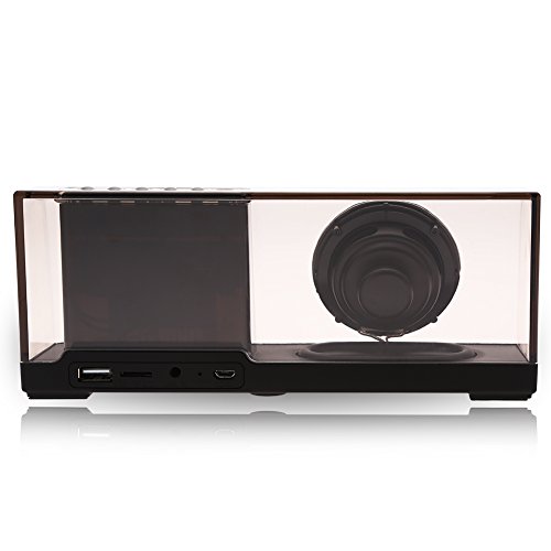 I-Venstar Portable Bluetooth Stereo Speaker with 5W Speaker Enhanced Bass Resonator, FM Radio, Built-in Mic, LED Display, 3.5 mm Audio Jack (Clear Black)