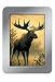 Tree-Free Greetings Northwoods Moose Deluxe Playing Cards, Multicolored (71007)