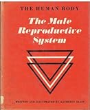 The human body: the male reproductive system