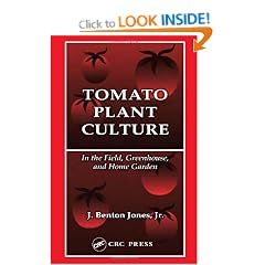 Tomato Plant Culture In the Field, Greenhouse, and Home Garden