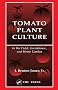 Tomato Plant Culture In the Field, Greenhouse, and Home Garden