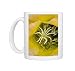 Photo Mugs of Torch Cactus (Hybrid) - not native to Arizona, under cultivation from Ardea Wildlife Pets