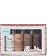 philosophy - the cookie exchange - delectable cookie flavored shower gels