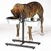 Adjustable dog diners 3qt bowls
