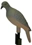 Mojo Clip On Dove Decoys