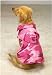 Kitchen & Housewares : Casual Canine Pink Camo Dog Jacket (Rain Coat) - X-Small (XS)