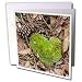 Lee Hiller Photography Hot Springs National Park Plants - Moss Heart - Greeting Cards-12 Greeting Cards with envelopes