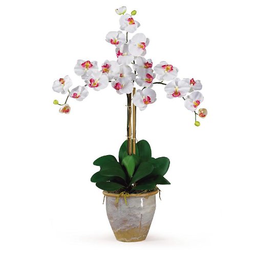 New Nearly Natural Triple Stem Phalaenopsis Silk Orchid Flower Arrangement Charming Realistic White