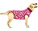 Suitical Recovery Suit for Dogs - Spay & Neutering Dog Surgery Recovery Suit for Male or Female - Soft Fabric for Skin Conditions - L, Neck to Tail 26.4-29.9 Inch, Chest 31-42 Inch - Pink Camouflage