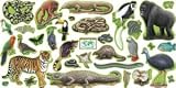 Rain Forest Animals Bulletin Board Set