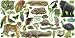 Office Products : Rain Forest Animals Bulletin Board Set