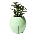 Grobal Baby Self-Watering Pot - Mint