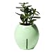 Grobal Baby Self-Watering Pot - Mint